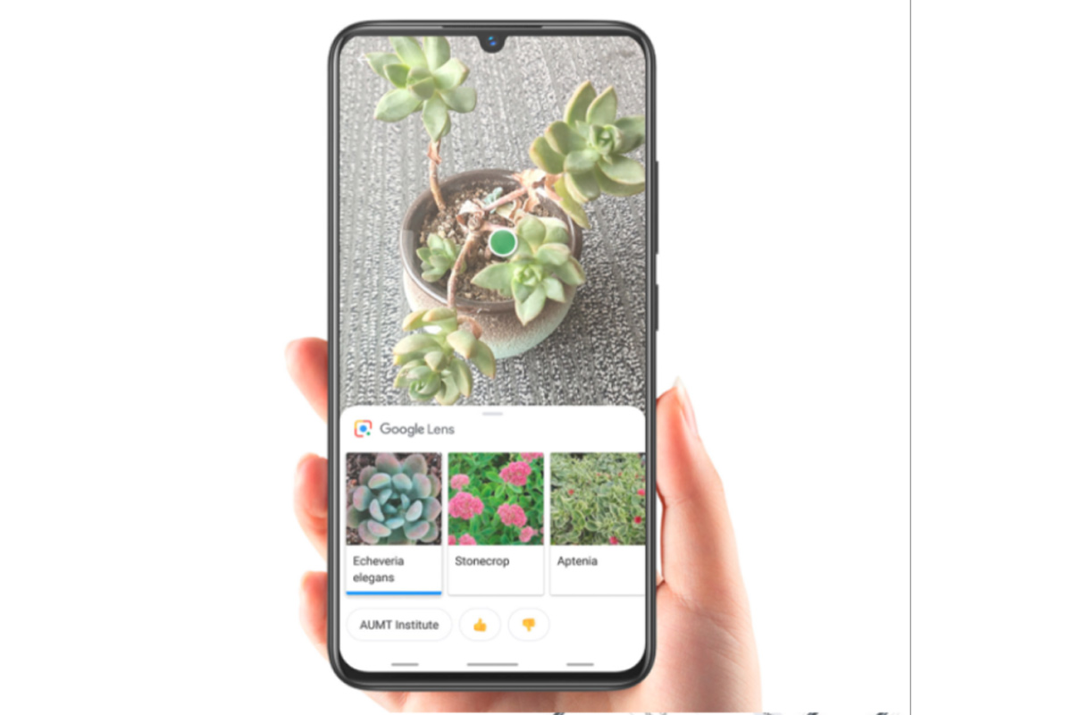 vivo V11i